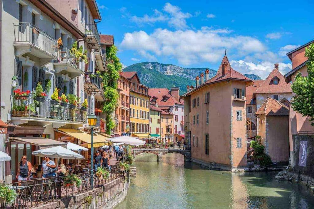 La Perle Du Thiou - Charmant T3 Au Centre D'Annecy Avec Parking Prive Εξωτερικό φωτογραφία