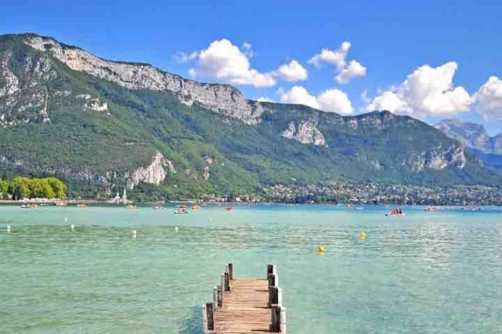 La Perle Du Thiou - Charmant T3 Au Centre D'Annecy Avec Parking Prive Εξωτερικό φωτογραφία
